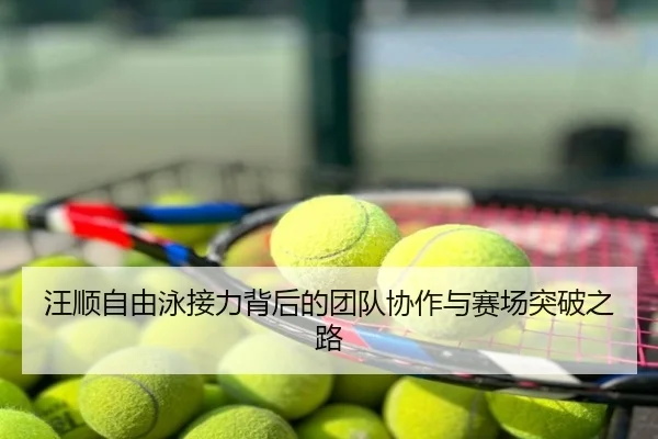 汪顺自由泳接力背后的团队协作与赛场突破之路