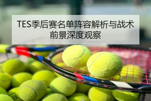 TES季后赛名单阵容解析与战术前景深度观察