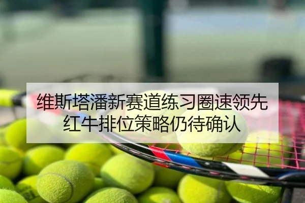 维斯塔潘新赛道练习圈速领先 红牛排位策略仍待确认